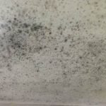 Condensation in Cardiff